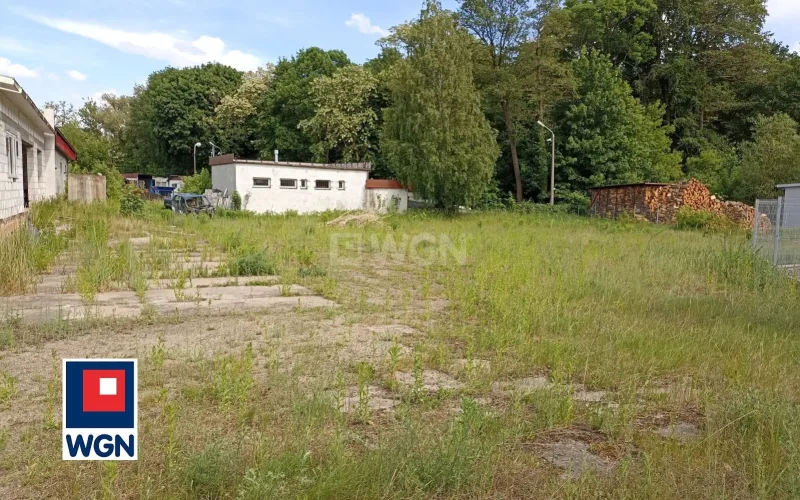Lokal na wynajem Brodnica