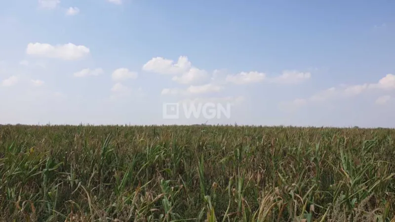 Działka na sprzedaż Kalisz